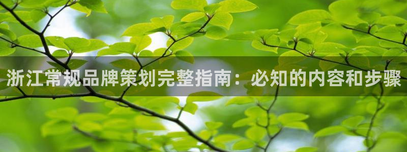 mg美高梅游戏网站多少