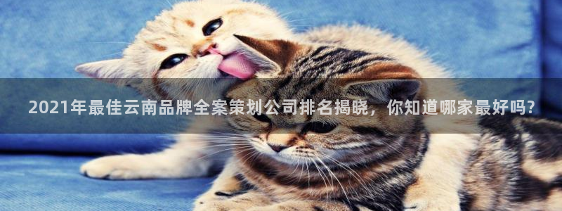 美高梅mgm集团2288