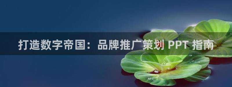 美高梅官方娱乐平台