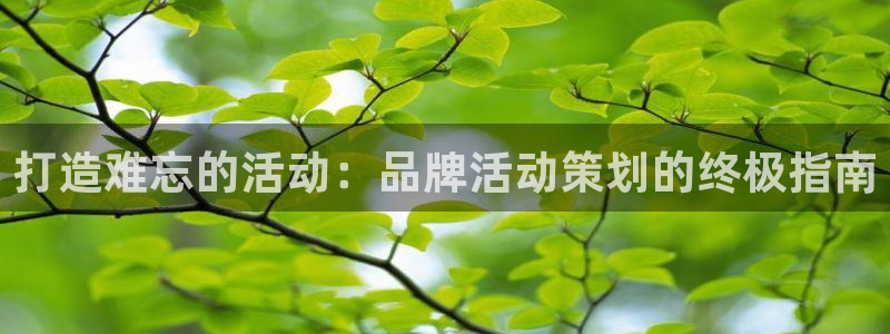 美高梅棋牌官网入口