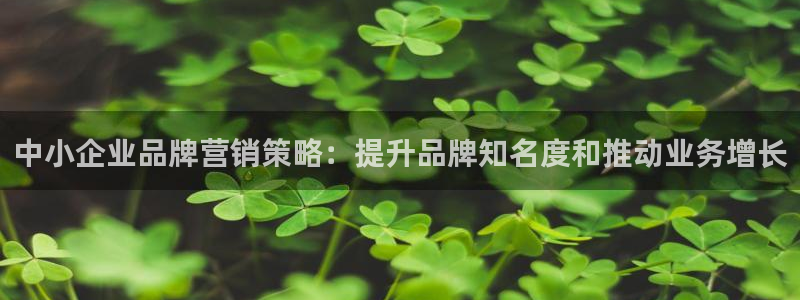 mgm美高梅平台的登录方式