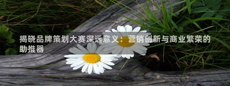 美高梅MGM电子娱乐游戏