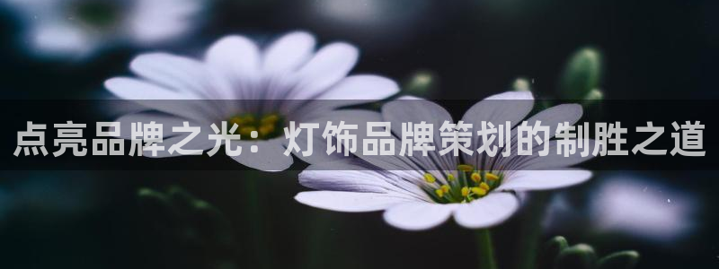 mgm美高梅平台游戏