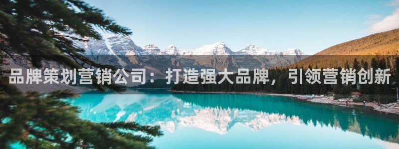 美高梅网络平台游戏网址
